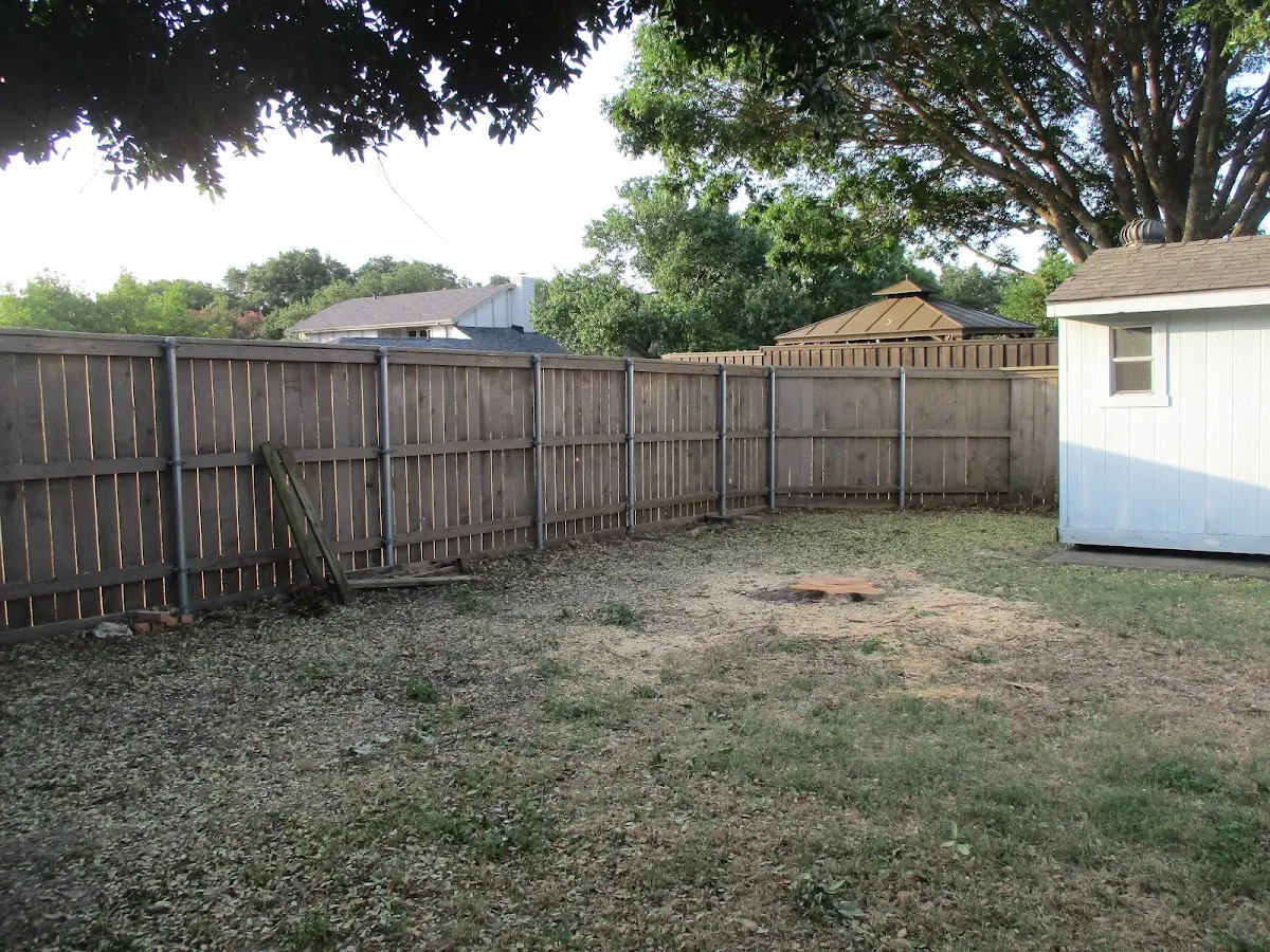 Cleared yard after professional tree removal in East Rutherford